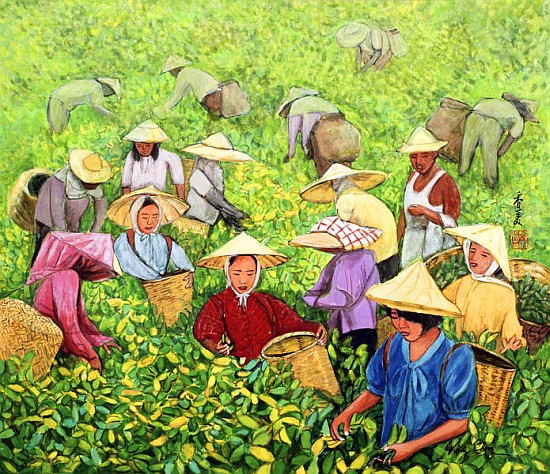 Tea Picking Girl, 1994 (gouache on silk)  od Komi  Chen