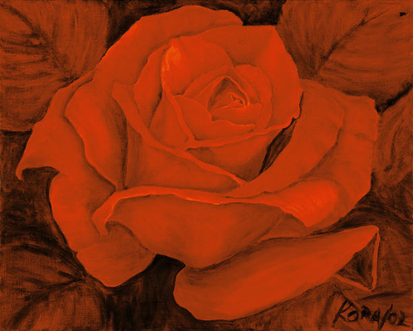 Red Rose Castella od Kora Olbrich