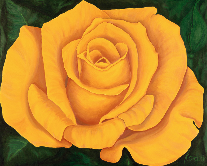 Yellow Rose Landora od Kora Olbrich