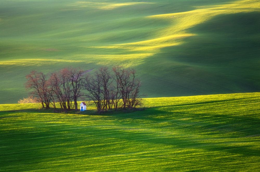Fields... od Krzysztof Browko