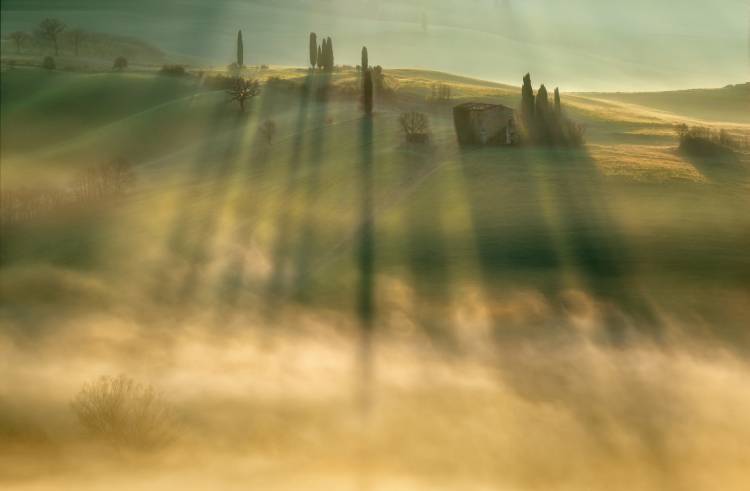 Mist... od Krzysztof Browko