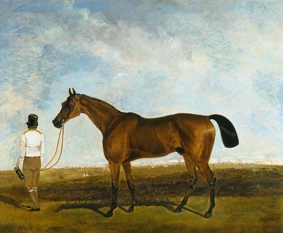 A groom leading a bay racehorse od Lambert Marshall
