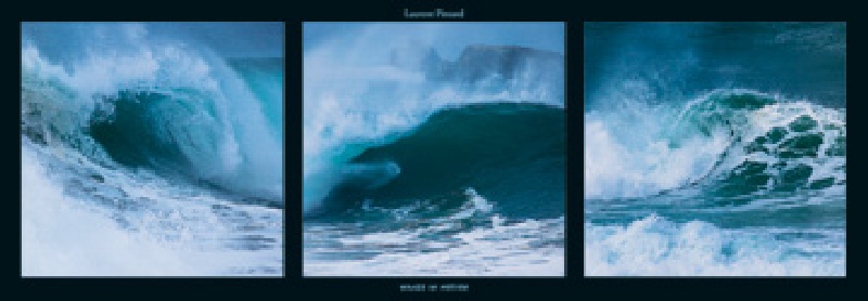 Waves in motion od Laurent Pinsard