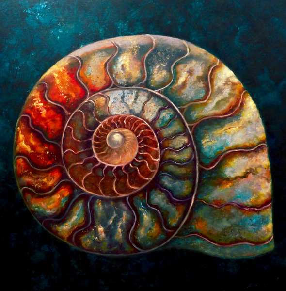 Ammonite II od Lee Campbell