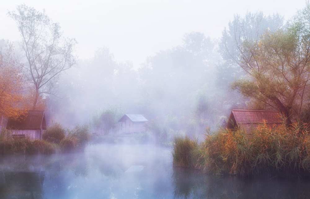 Foggy Mornings on the Lake od Leicher Oliver