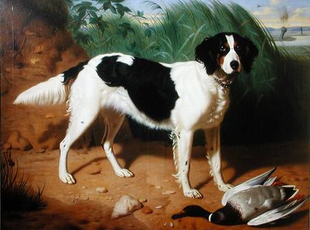 Portrait of a Dog od Leon Viardot