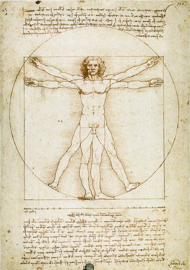Proporce lidské postavy (Vitruvius) od Leonardo da Vinci