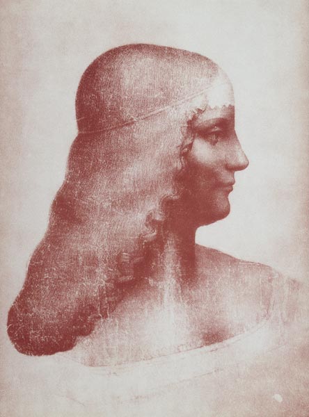 Head of a Woman in Profile od Leonardo da Vinci