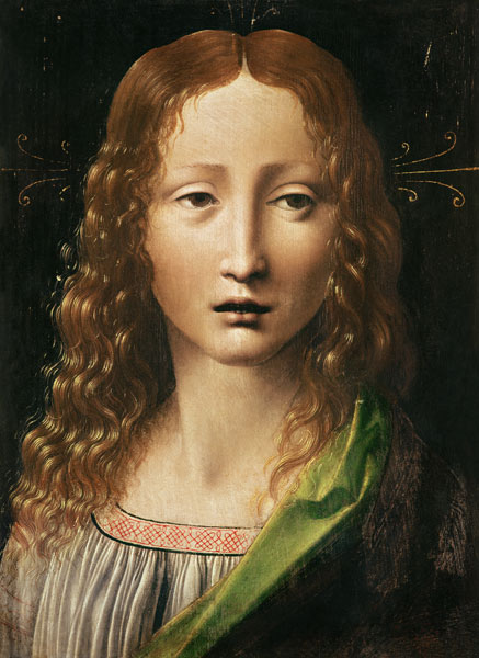 Head of the Saviour od Leonardo da Vinci