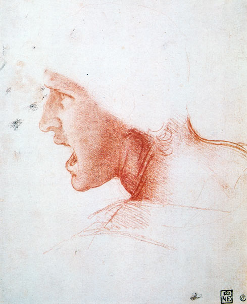 Study of a Warrior's Head for the Battle of Anghiari od Leonardo da Vinci