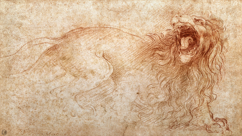 Sketch of a roaring lion od Leonardo da Vinci