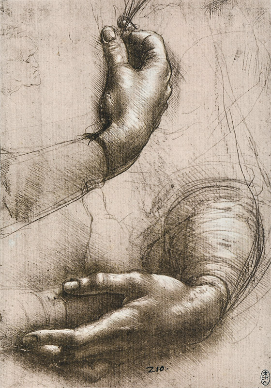 Studie der Hände einer Frau od Leonardo da Vinci