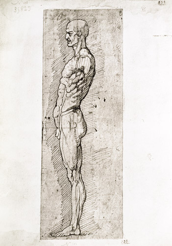 Anatomical Study od Leonardo da Vinci