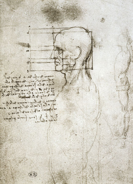 Head of an Old Man in Profile, facsimile copy  and od Leonardo da Vinci