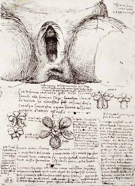 The Female Sexual Organs, facsimile copy  & od Leonardo da Vinci