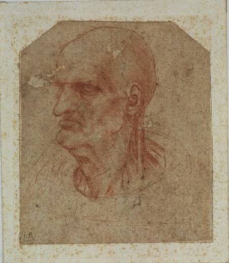Head of a beardless old man, left profile od Leonardo da Vinci