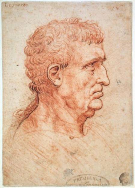 Head of a Man in Profile od Leonardo da Vinci