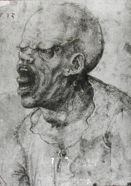 Portrait of a Man Shouting od Leonardo da Vinci