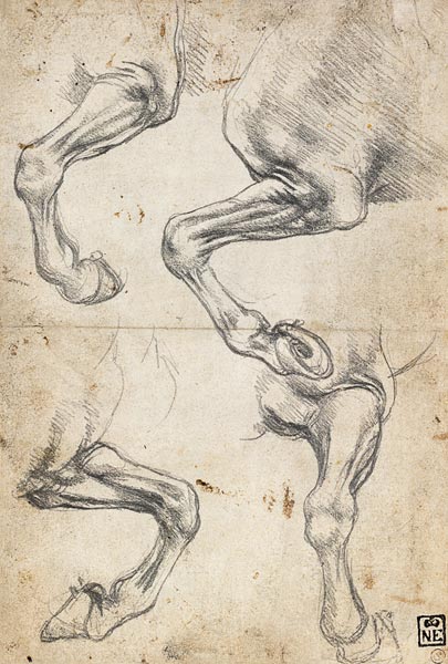 Studies of Horse's Leg od Leonardo da Vinci