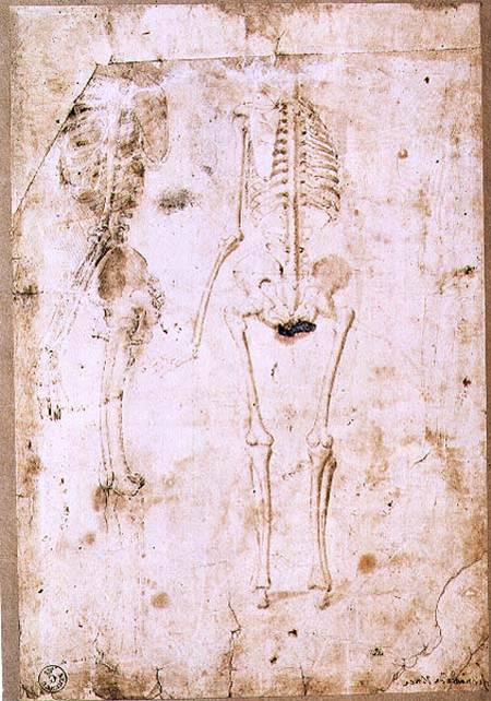 Two studies of a hanging skeleton (pen & ink with wash) od Leonardo da Vinci