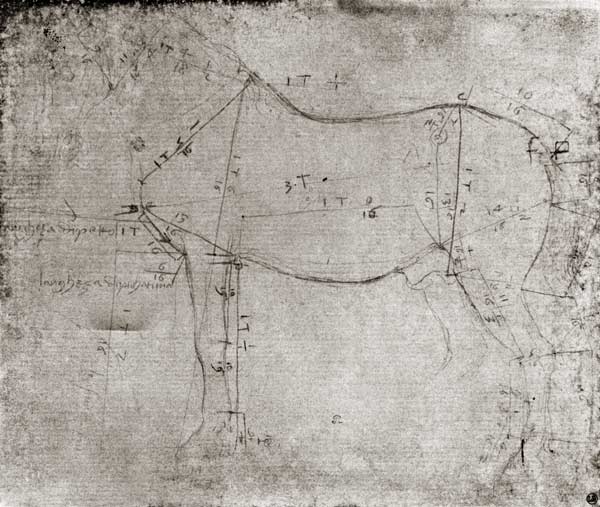 Study of a Horse od Leonardo da Vinci