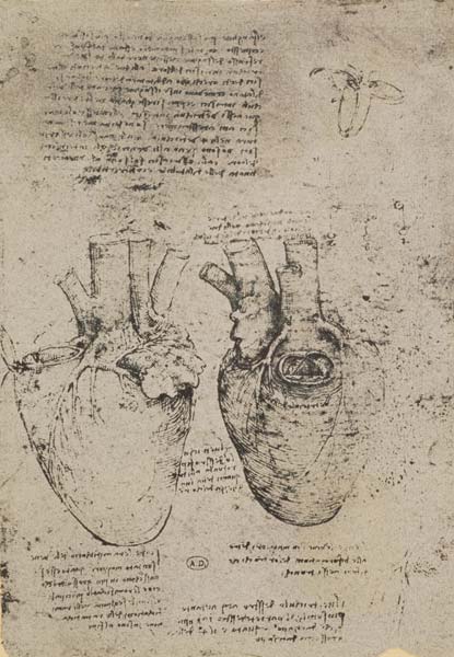 The Heart, facsimile of the Windsor book od Leonardo da Vinci