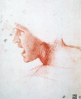 Study of a Warrior's Head for the Battle of Anghiari