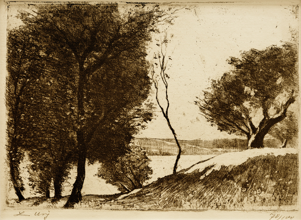 Baumbestandenes Ufer am märkischen See od Lesser Ury