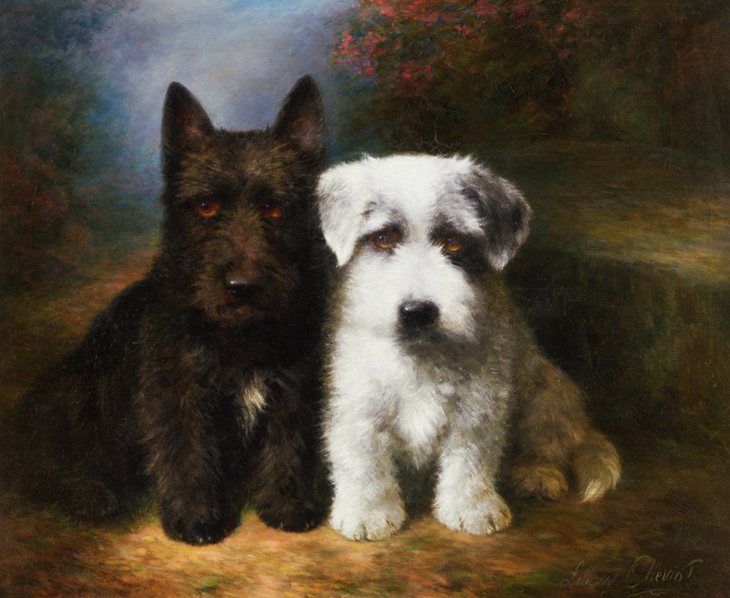 A Scottish and a Sealyham Terrier od Lilian Cheviot