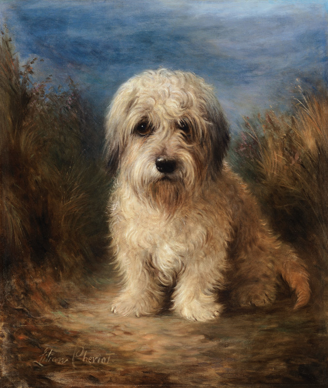 Dandie Dinmont Terrier. od Lilian Cheviot