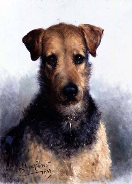 Wire Fox Terrier od Lilian Cheviot
