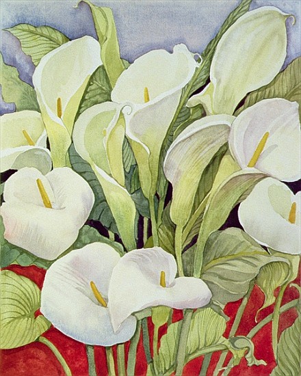 Arum Lillies, 1978 (watercolour) od Lillian  Delevoryas
