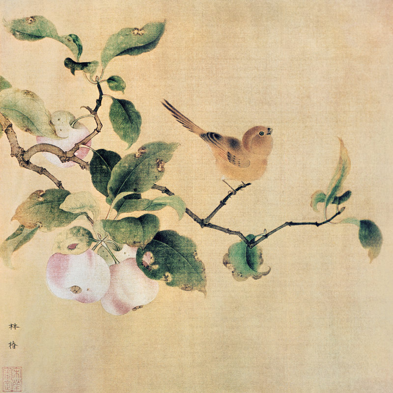 Vogel und reifende Aepfel od Lin-Tschun chinesischer Maler der Sung-Zeit