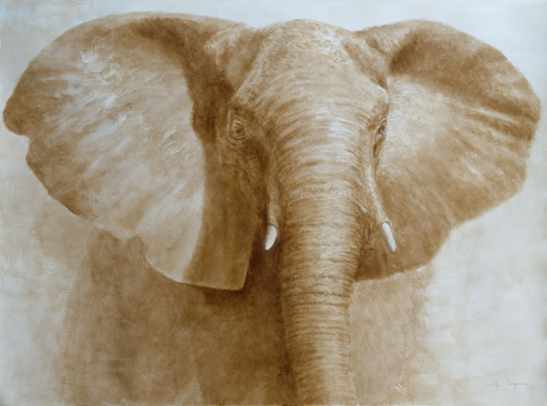 Elephant, 2004 (acrylic on paper)  od Lincoln  Seligman
