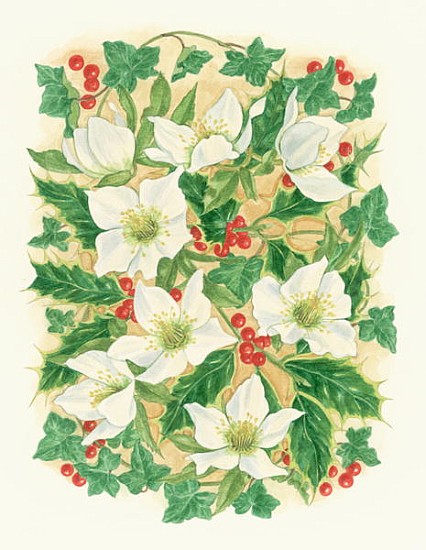 Christmas Roses, 1997 (w/c on paper)  od Linda  Benton