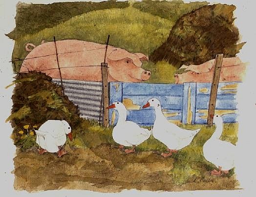 Pigs, Midden and Geese od Linda  Benton
