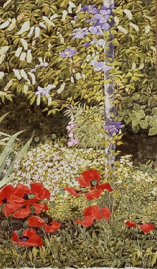 Poppies and flowering Clematis  od Linda  Benton