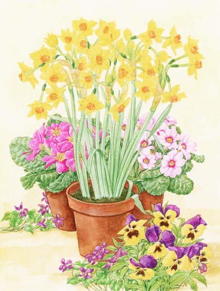 Pots of Spring Flowers, 2003 (w/c on paper)  od Linda  Benton