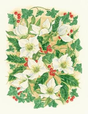 Christmas Roses, 1997 (w/c on paper) 