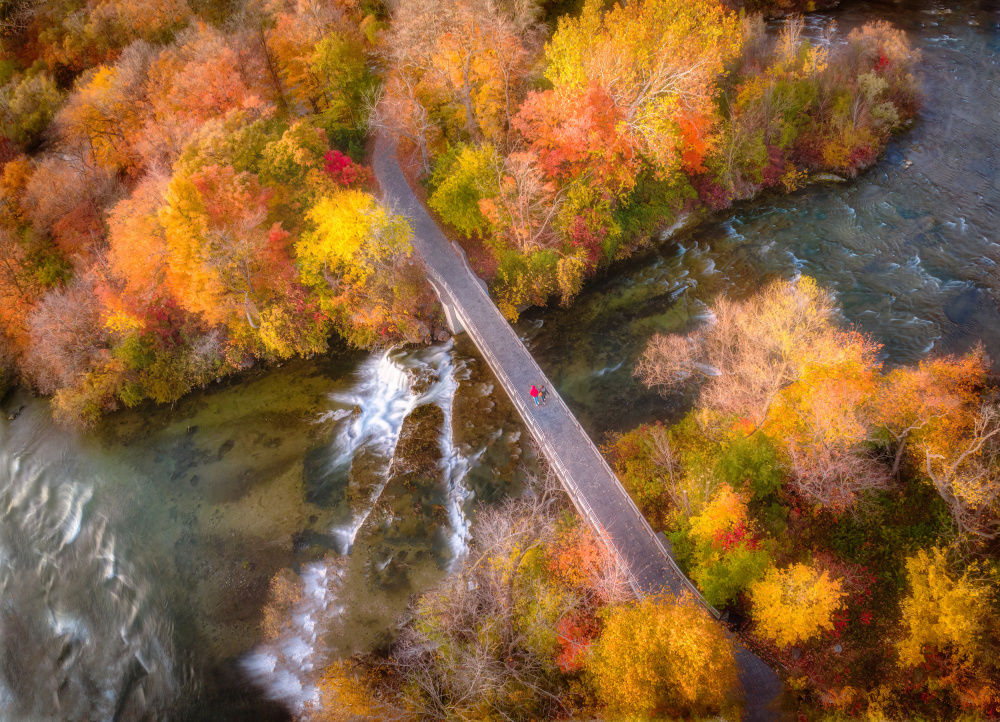 Autumn Bridge od Ling Lu
