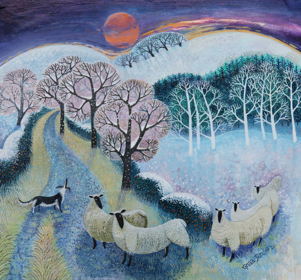 Sheep at Sunset od Lisa Graa Jensen