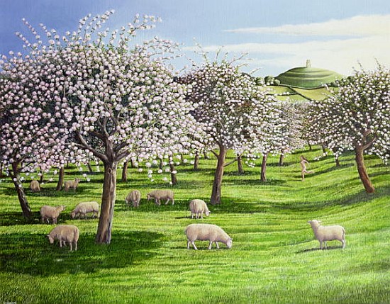Celebration of Apple Blossom in Somerset, 2004 (oil on canvas)  od Liz  Wright