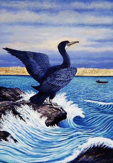 Cormorant on shag Rock od Liz  Wright