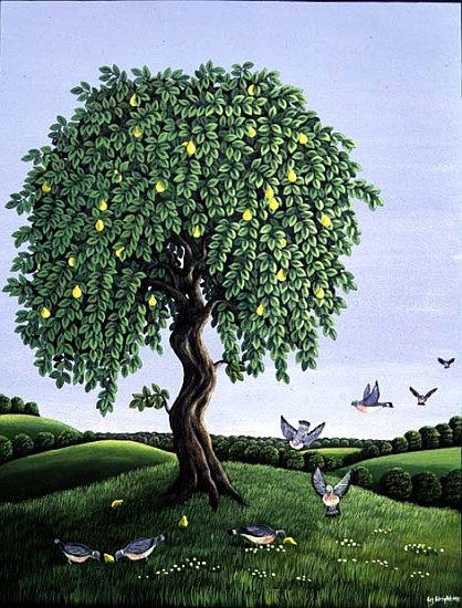 Quince Tree and Pigeons, 1983 (gouache)  od Liz  Wright