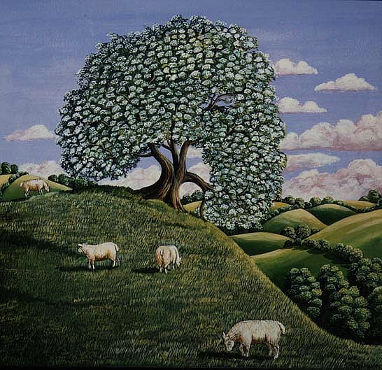 The Hawthorn Tree, 1981 (gouache)  od Liz  Wright