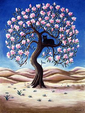 Black Cat in a Magnolia Tree, 1988 (pastel) 
