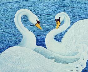 Swans, 2007 (oil on canvas) 