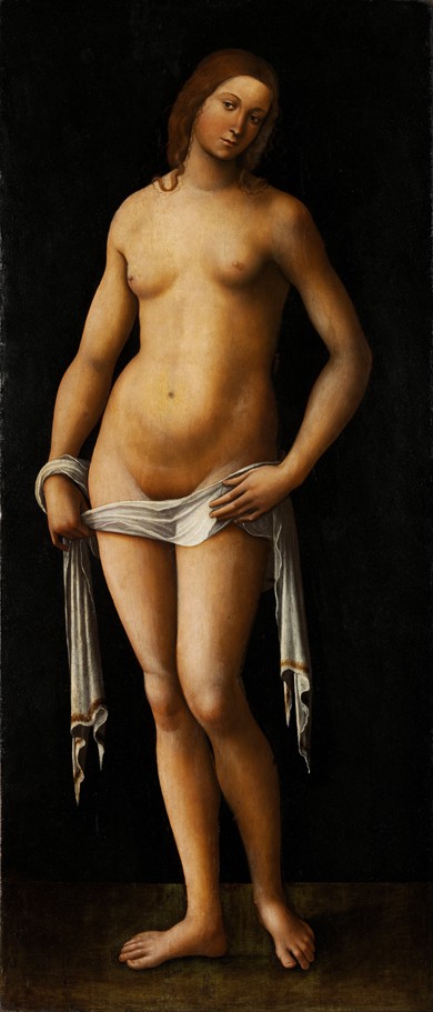 Venus od Lorenzo Costa