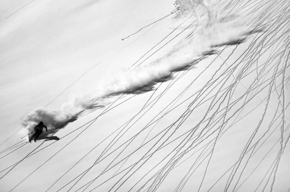 Skiing Powder od Lorenzo Rieg