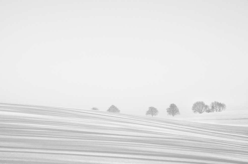 Snowlines od Lou Urlings
